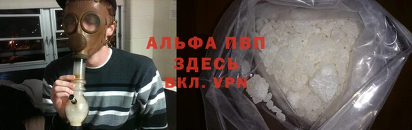 молекула духа Осташков